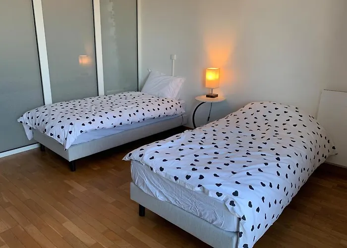 Charming Eiffel Tower View Apartament Issy-les-Moulineaux